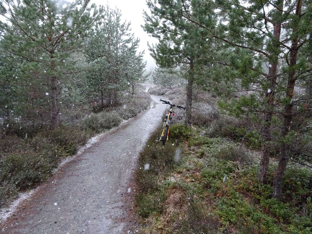 Aviemore, Strathspey, Near Loch Morlich, light snow shower, 3 May 2019...