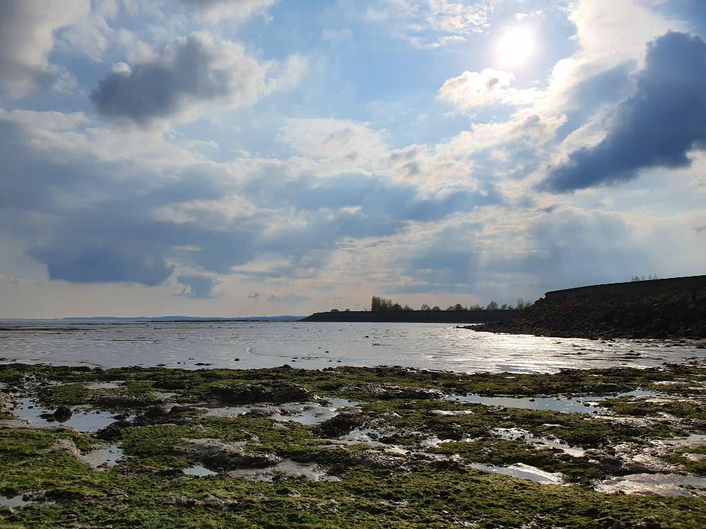 Cardiff, Cardiff, Wild and windy at the seawall...