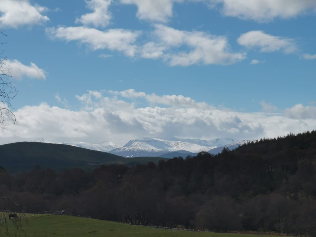 Grantown on Spey, , Snow on the Cairngorms ...