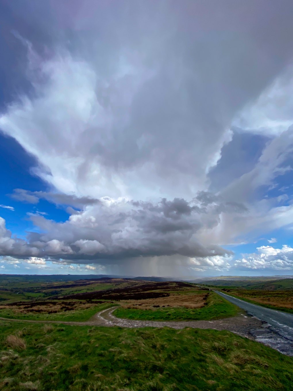 leek, staffordshire, some great cells popping up again today....