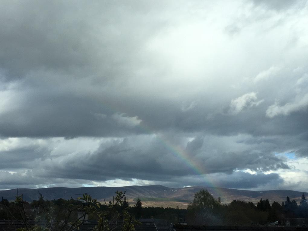 Gos, , Little bit of a rainbow ...
