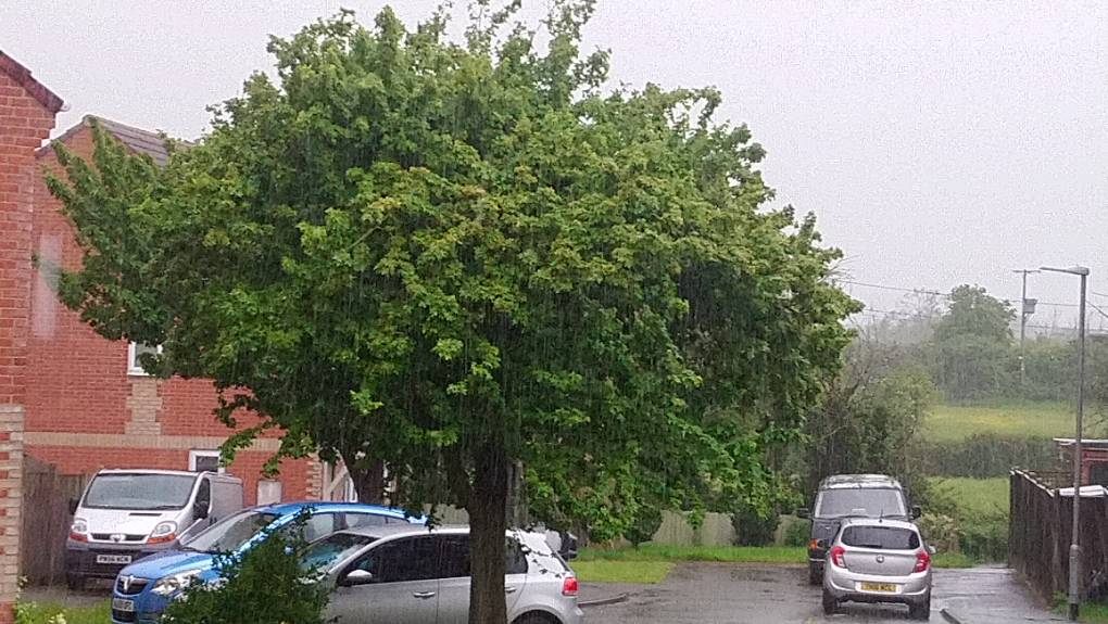 Bridgwater, Somerset, Heavy rain and strong winds ...