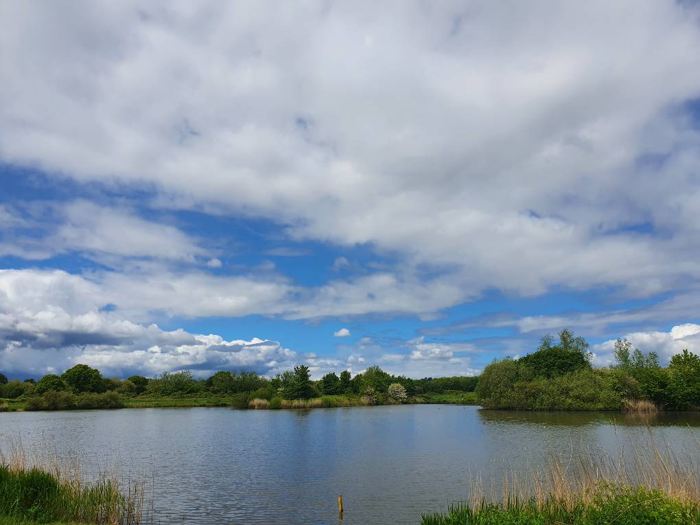 Cardiff, Cardiff, Cumulus late spring...