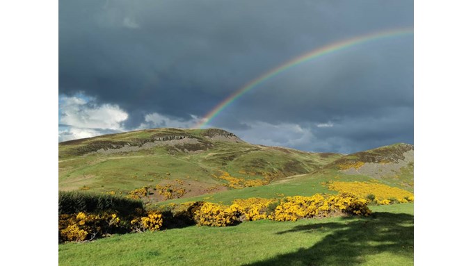 Lovely evening colours over Craig Rossie. Posted by Uncle Ted