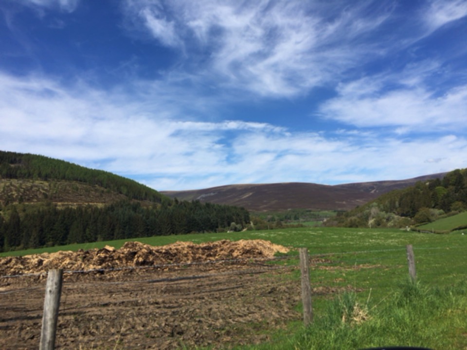 Glenlivet, , Perfect day! ...