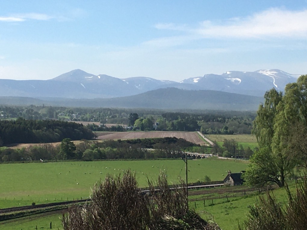 Grantown on Spey, , Pollen rising from the pine trees in the Strath. ...