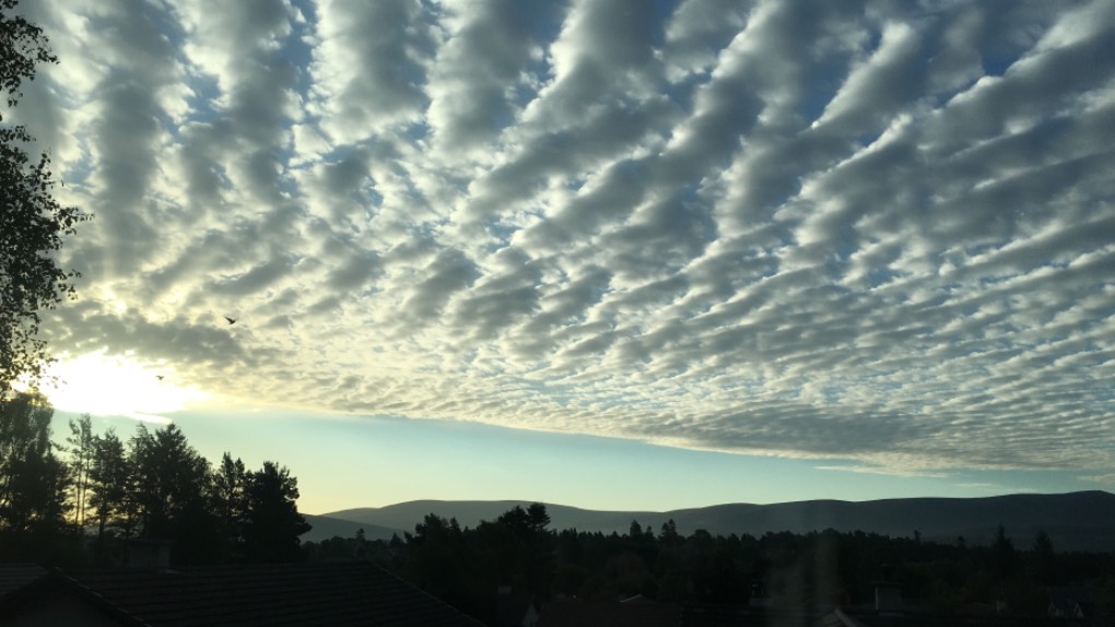 Grantown on Spey, , Nice ripples! ...