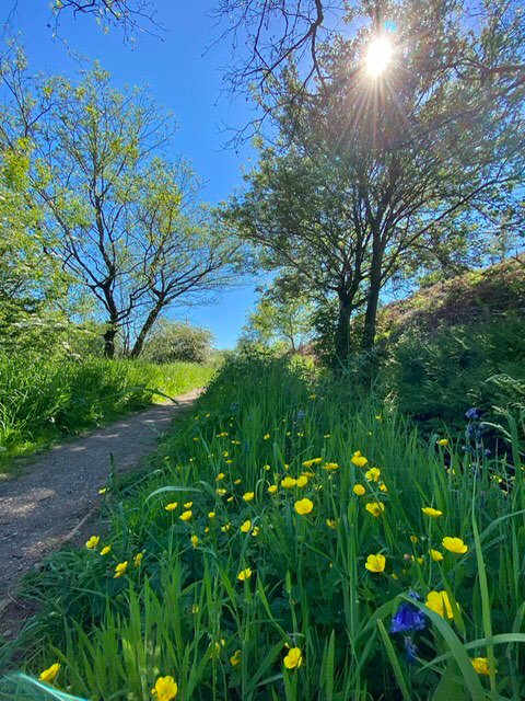 leek, staffordshire, walk along the feeder the other day..Rudyard lake.....