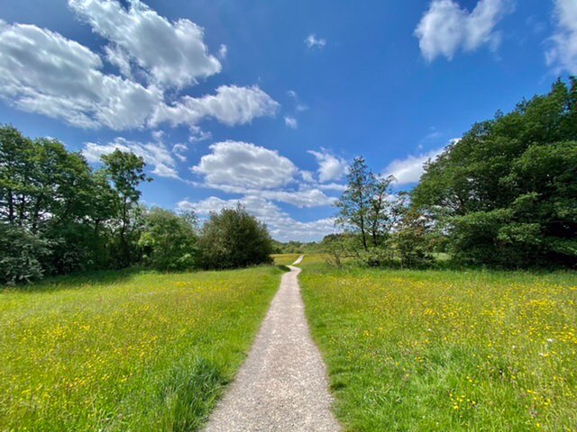 leek, staffordshire, Hot one today.....