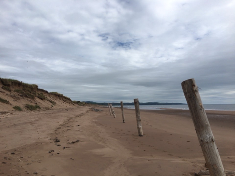 Montrose, Angus, Cloudy day at the links ...