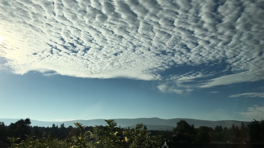 Grantown on Spey, Highlands, Sunny morning! ...