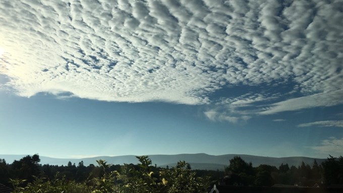 Sunny morning! Near to Grantown on Spey. Posted by dizzy daff