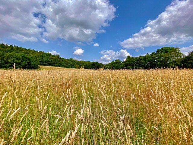 leek, staffordshire, Nice summery afternoon.....