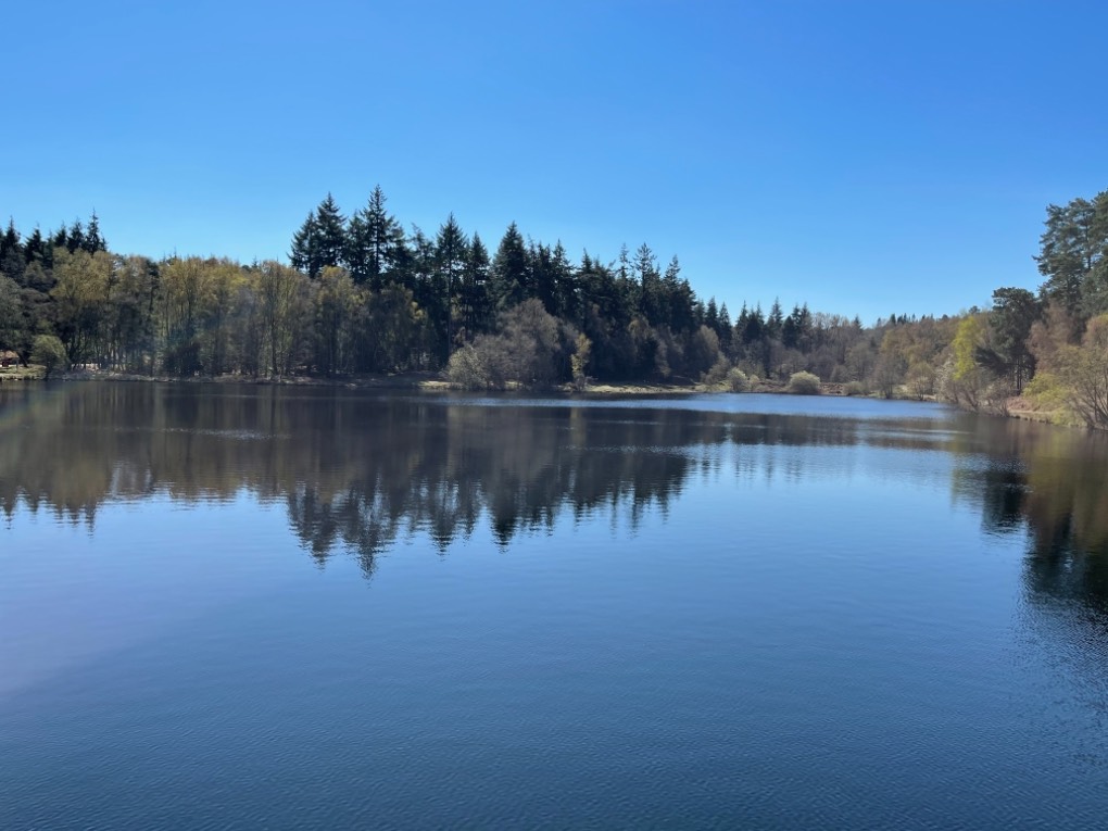 Fleet, Hants, Bourley lake...