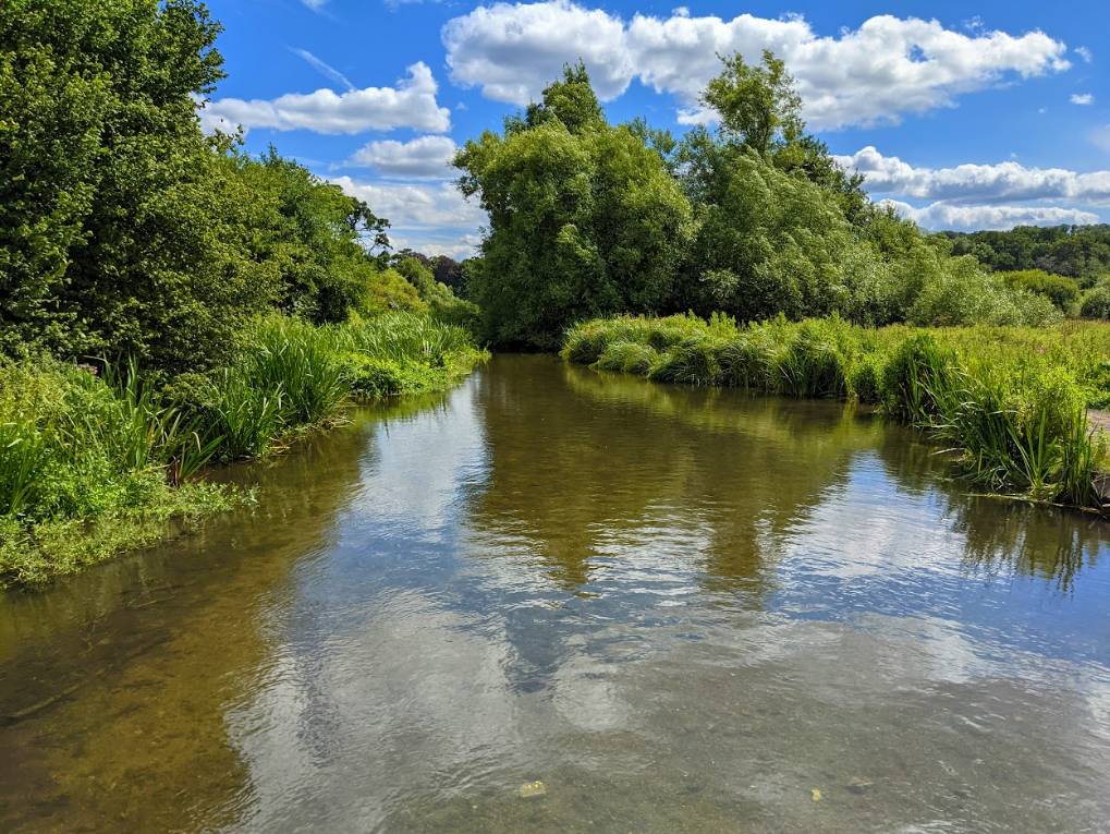 Sarrat, Hertfordshire, River Chess on a bright but windy late July day...