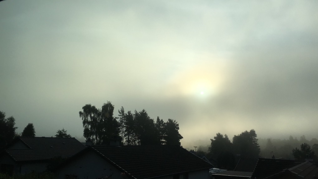 Grantown on Spey, Highlands, Misty at 6.30 am...
