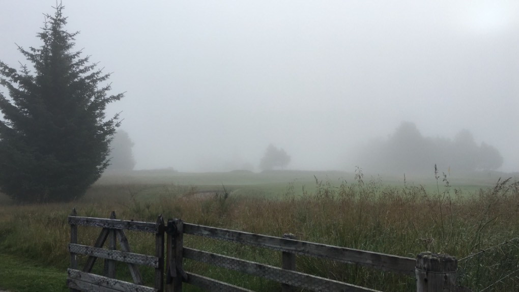 Grantown on Spey, Highlands, Still misty at 7.30 am! ...