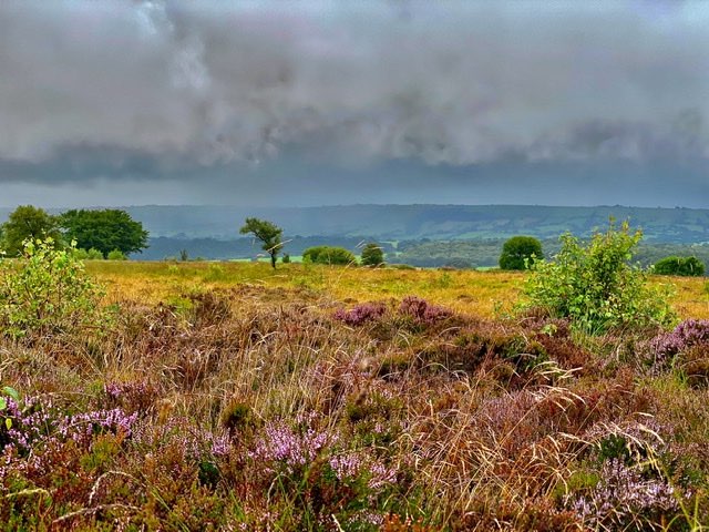 Leek, Staffordshire, Wet and windy today .....