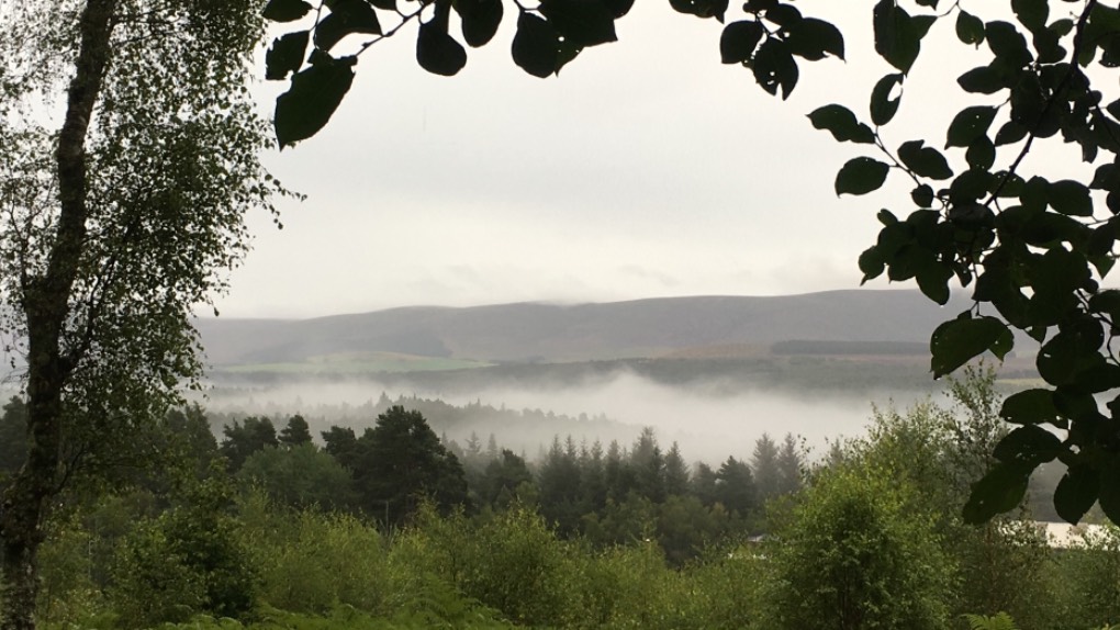 Grantown on Spey, Moray, Misty morning ...