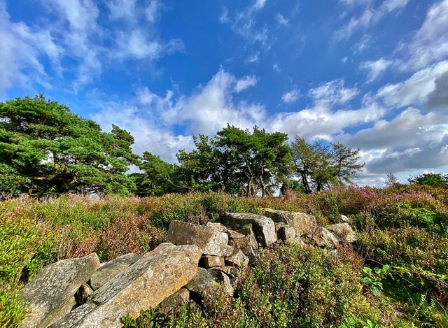 leek, staffordshire, Gun moor , the sun finally came out.....