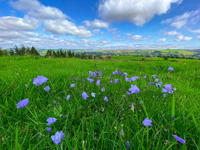 Leek, Staffordshire, Summers finally back today.....