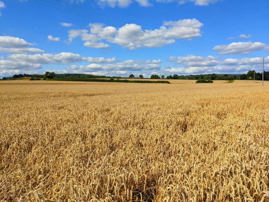 Aldbury, Herts, Fine late summer weather...