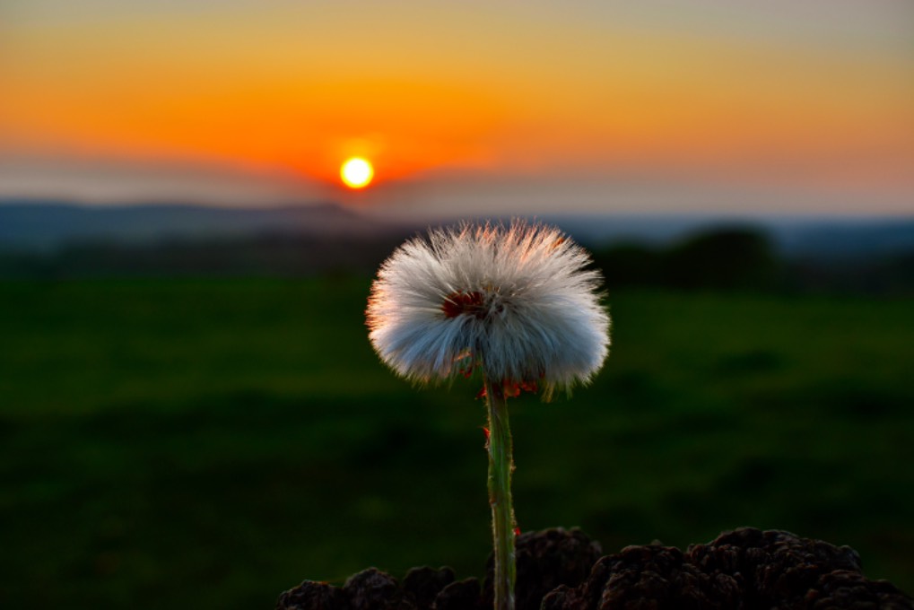 leek, staffordshire, lovely sunset over gun moor.....