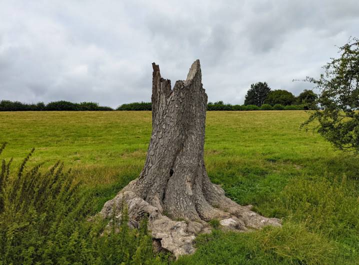 Berkhamsted, Herts, Overcast weather in late summer...