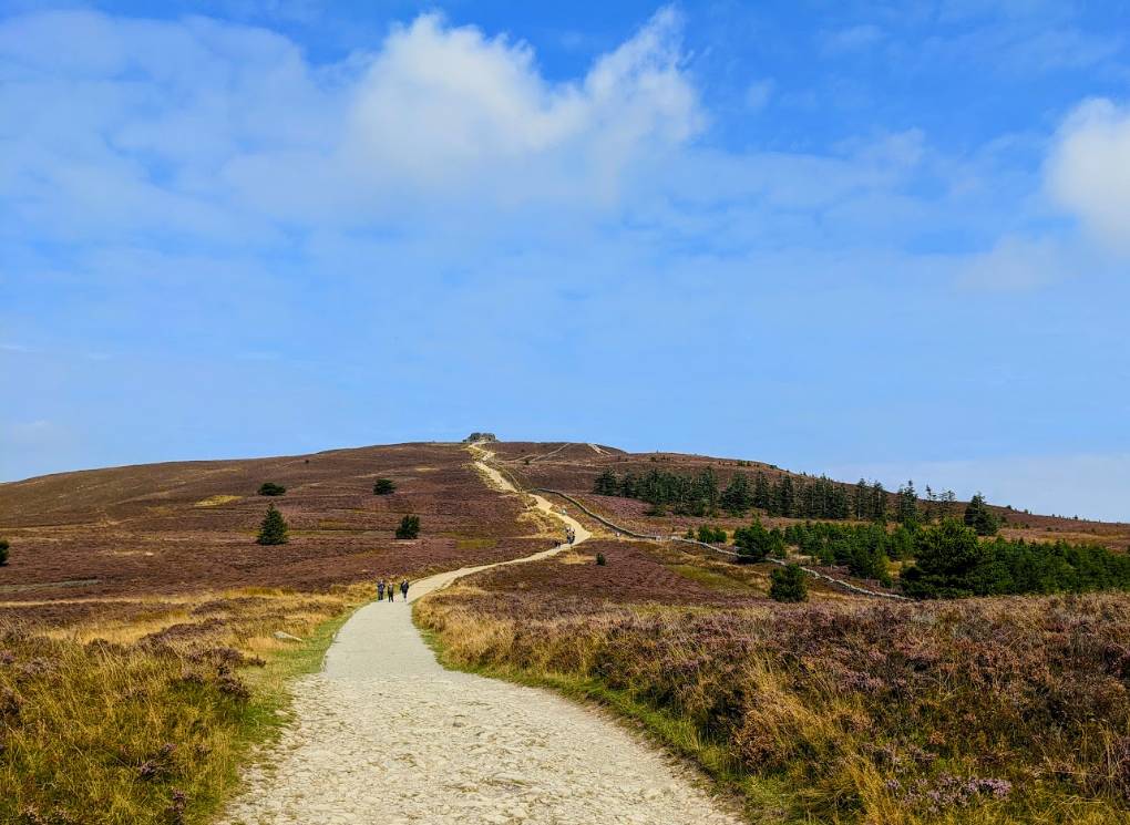 , Denbighshire  and Flintshire, Looking towards Moel Famau summit which at 555m is the highest hill in the ...