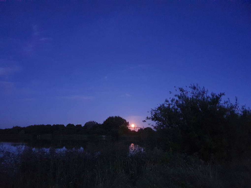 Cardiff, Cardiff, Dusk at Hendre Lake...