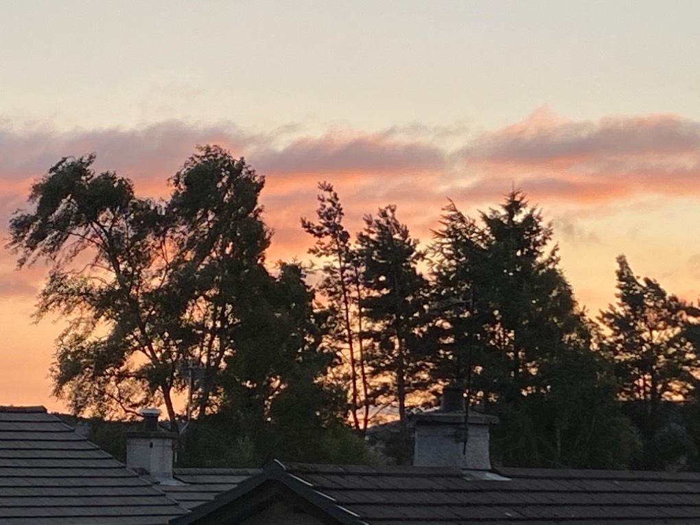 Grantown on Spey, Highlands, 7.05 am Windy morning! ...
