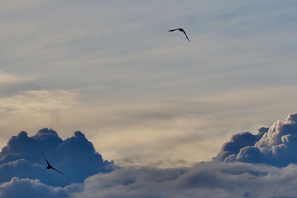 leek, staffordshire, Approaching showers yesterday.....
