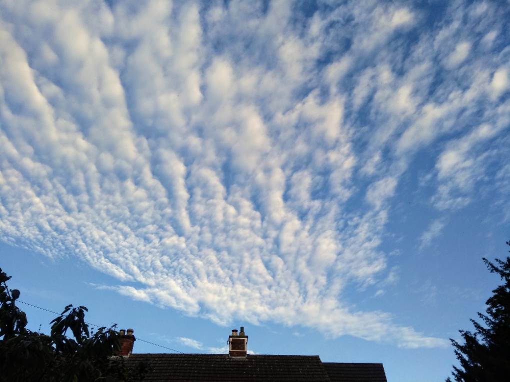 Syston, Leics, Nice altocumulus stratformis undulatus/floccus over Leicestershire...