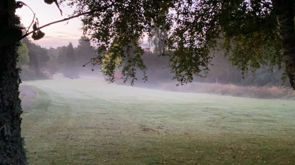 Grantown on Spey, Highlands, Misty morning ...