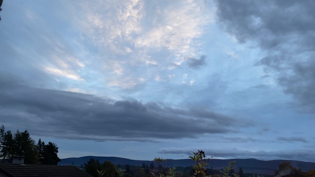 Grantown on Spey, Highlands, My sister says ‘angel’s wings’, I say a bird....