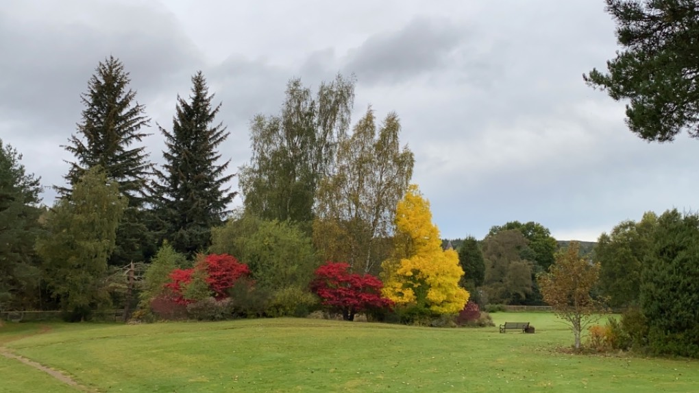 Grantown on Spey, Highlands, Autumn colours!...
