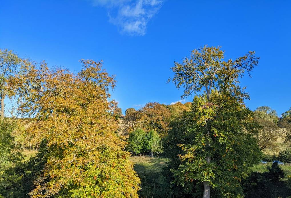 Berkhamsted, Herts, Fine weather and late October colours...