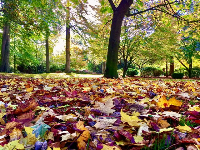 leek, staffordshire, Autumn slowly creeps on…...