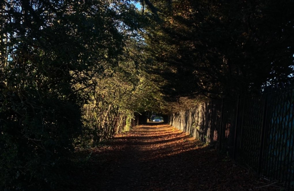 Dartford, Kent, Golden hour. Walk home from work ...