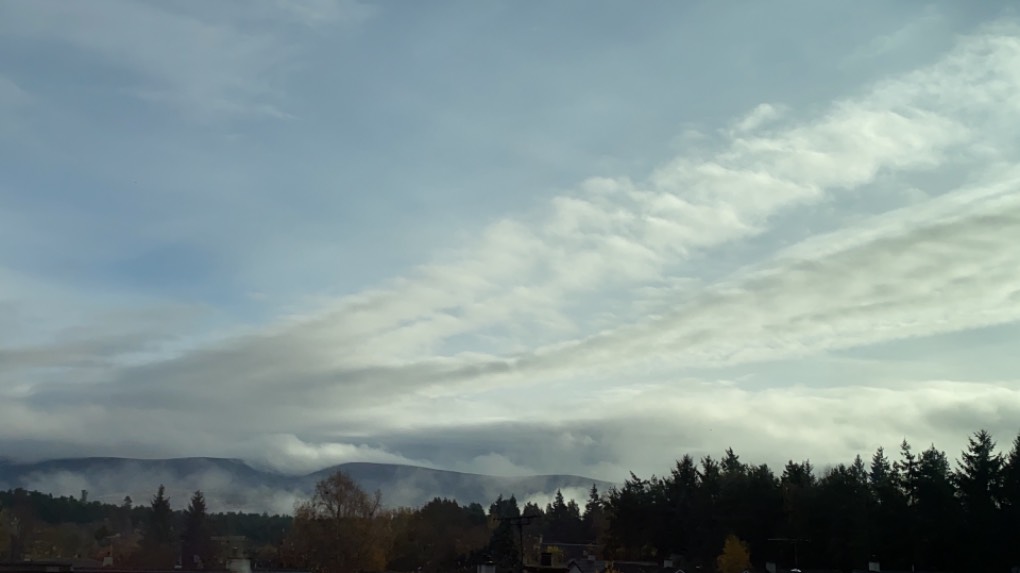 Grantown on Spey, Highlands, Mist rising ...