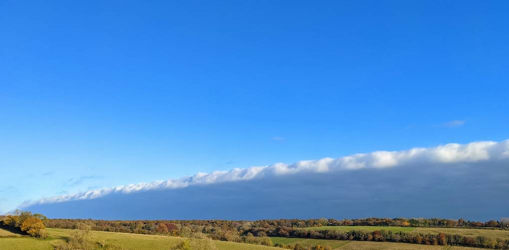 Berkhamsted, Herts, Fine and mildish November day...