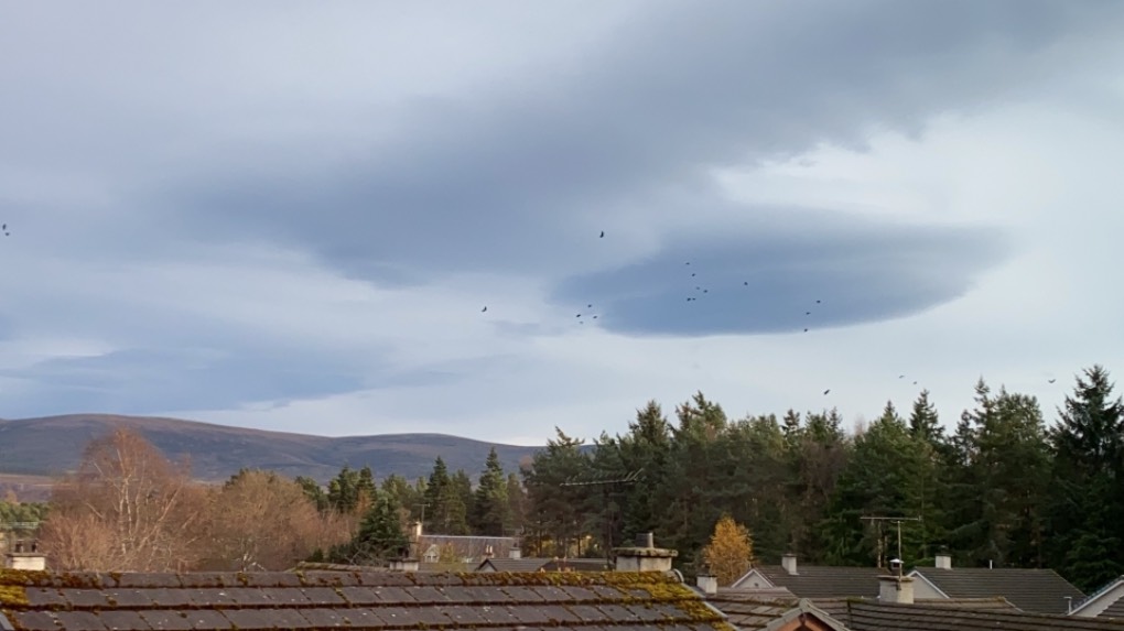 Grantown on Spey, Scottish Highlands, Spaceship alert! ...