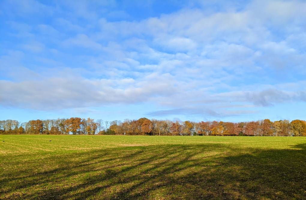 Berkhamsted, Herts, Chilly and sunny late November day...