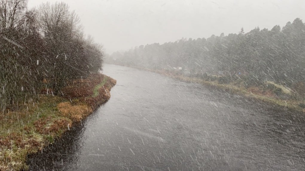 Snowing! Grantown on Spey, Scottish Highlands,, sent by dizzy daff