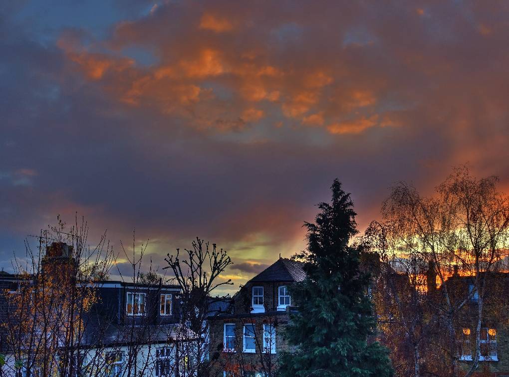 Richmond, London, Clearance at sunset after a late shower...