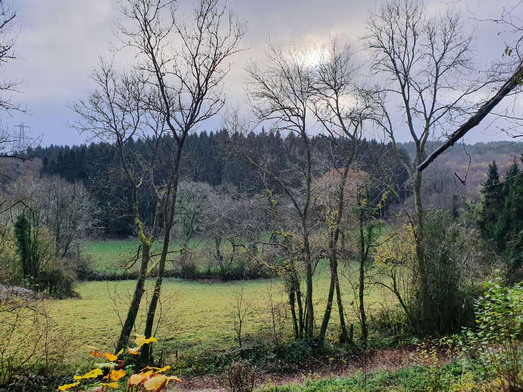 Cardiff, Cardiff, Late Autumn...