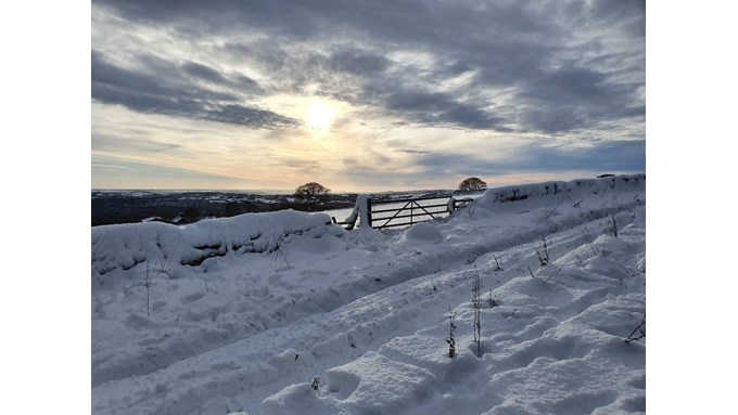 Snowy walk in West Sheffield overlooking the Peaks. Posted by rupertwilson20