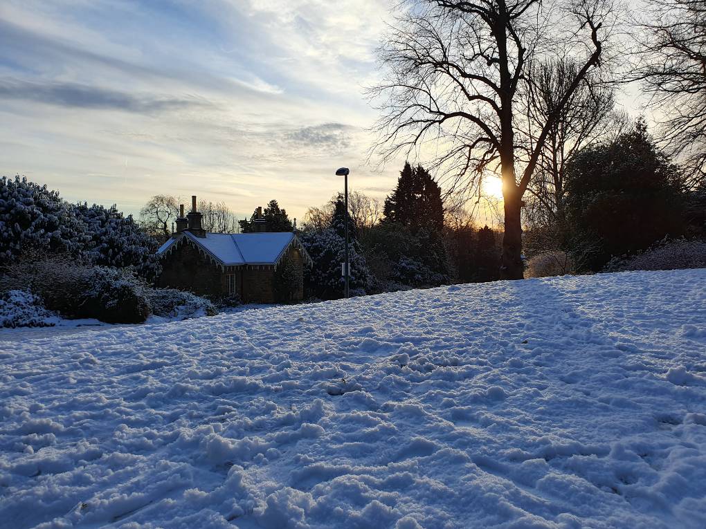 Sheffield, South Yorkshire, Sheffield Botanical Gardens in the snow...