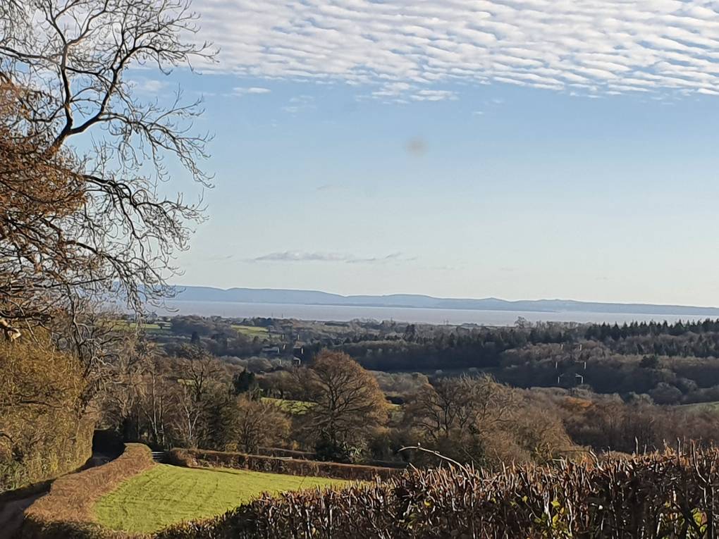 Cardiff, Cardiff, Sunny winter's day ...
