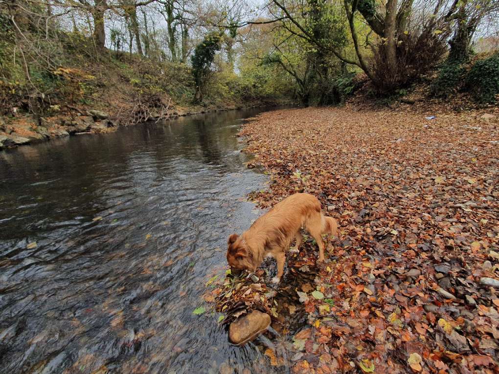 Cardiff, Cardiff, Autumn day...